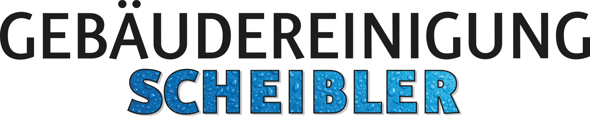 Logo der Firma Gebäudereinigung Scheibler aus Halberstadt